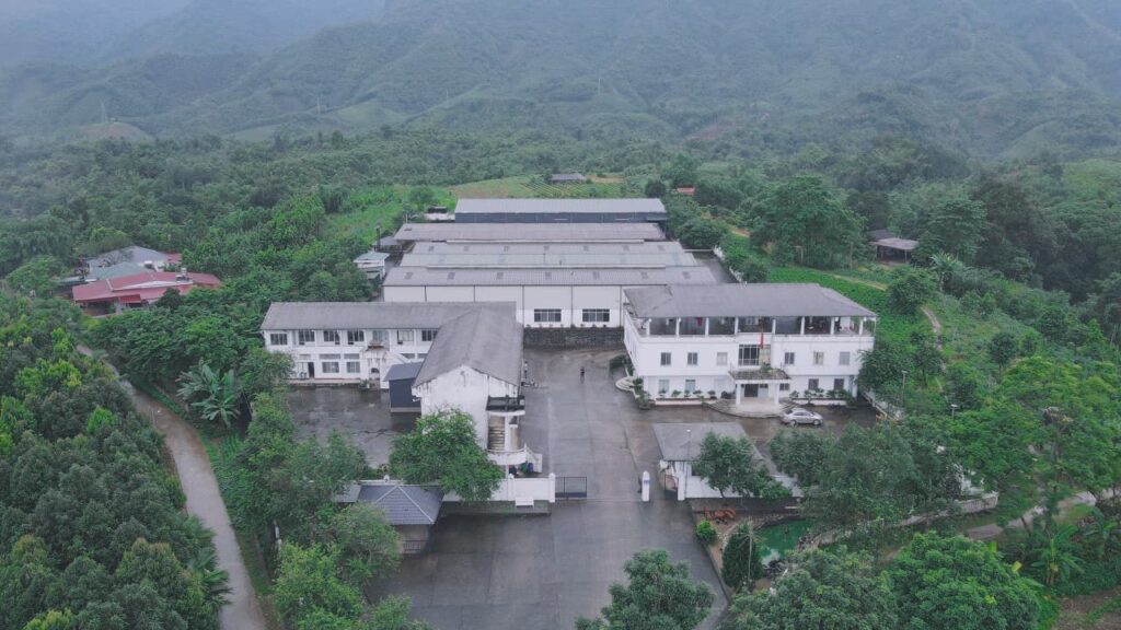 Thế giới trà